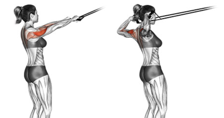 jalón facial femenino